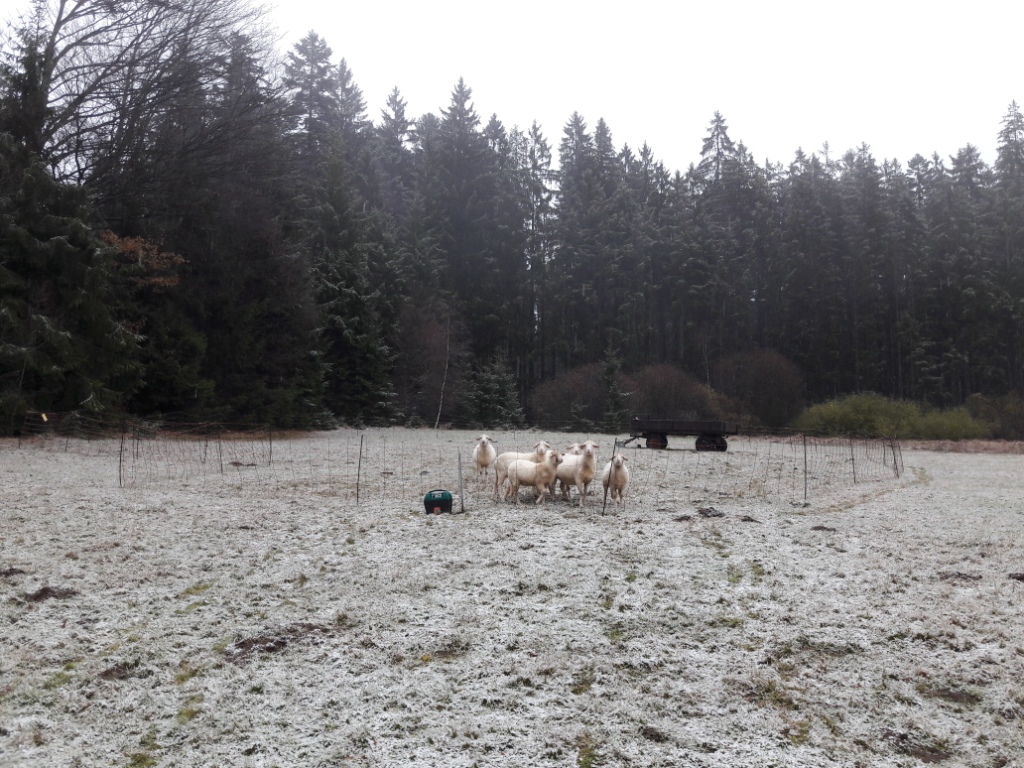 Wintereinbruch im November