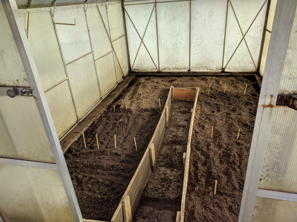 Der erste Frühlingshauch