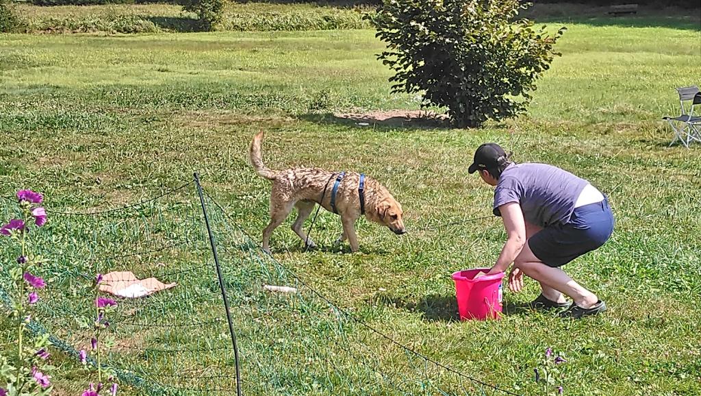 Jackson wird gewaschen