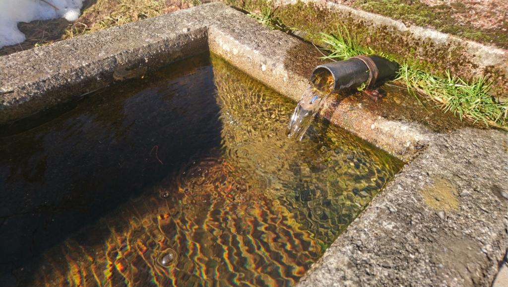 Ein kurzer Frühlingsmoment