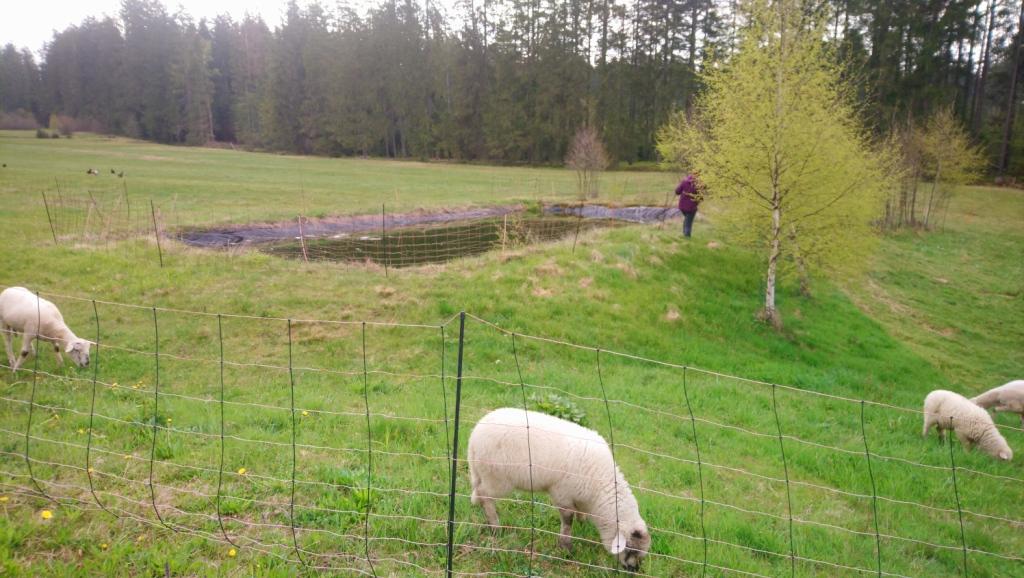 Die Weidesaison hat begonnen