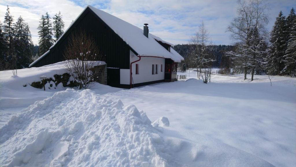 Winter in der Bergerau