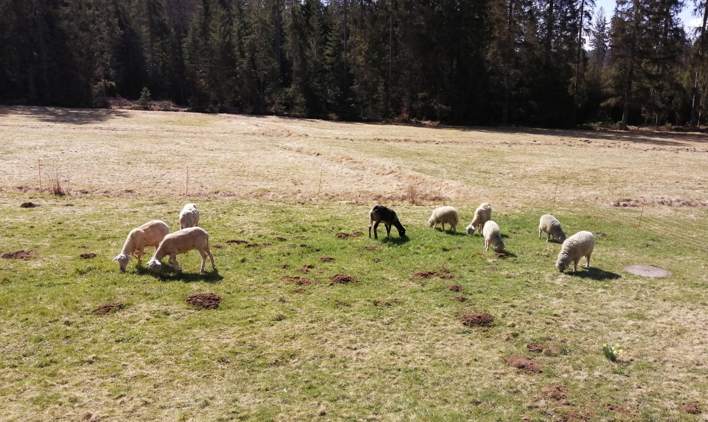 Wie füllt man freie Zeit
