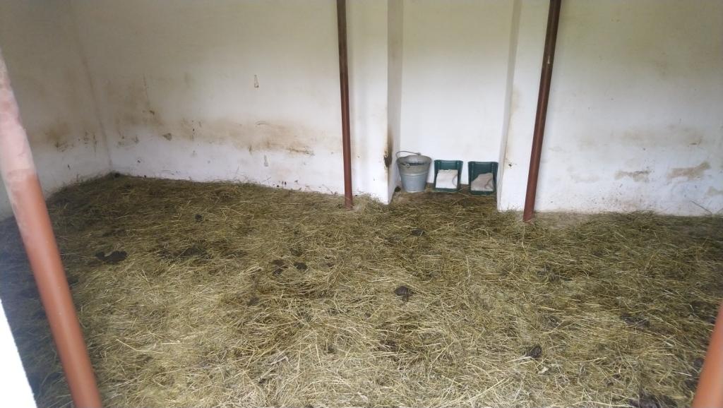 Der Duft der Idylle – alles Scheiße