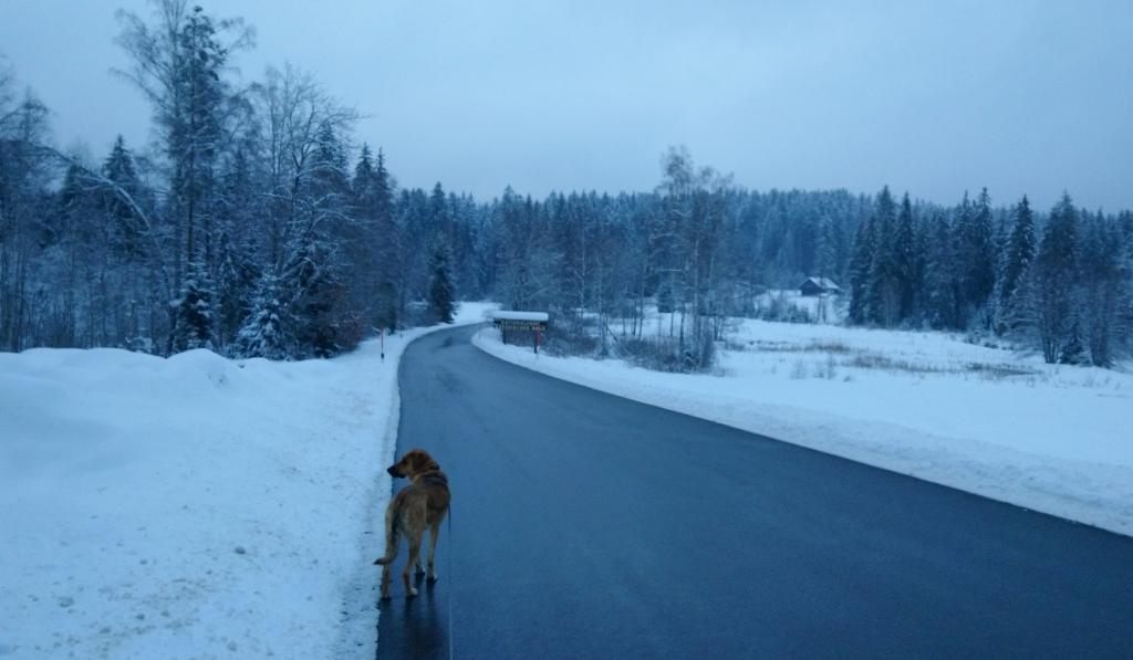 Winter Mitte Dezember